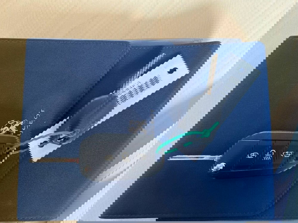 Peugeot 2008 usata a Sondrio (16)