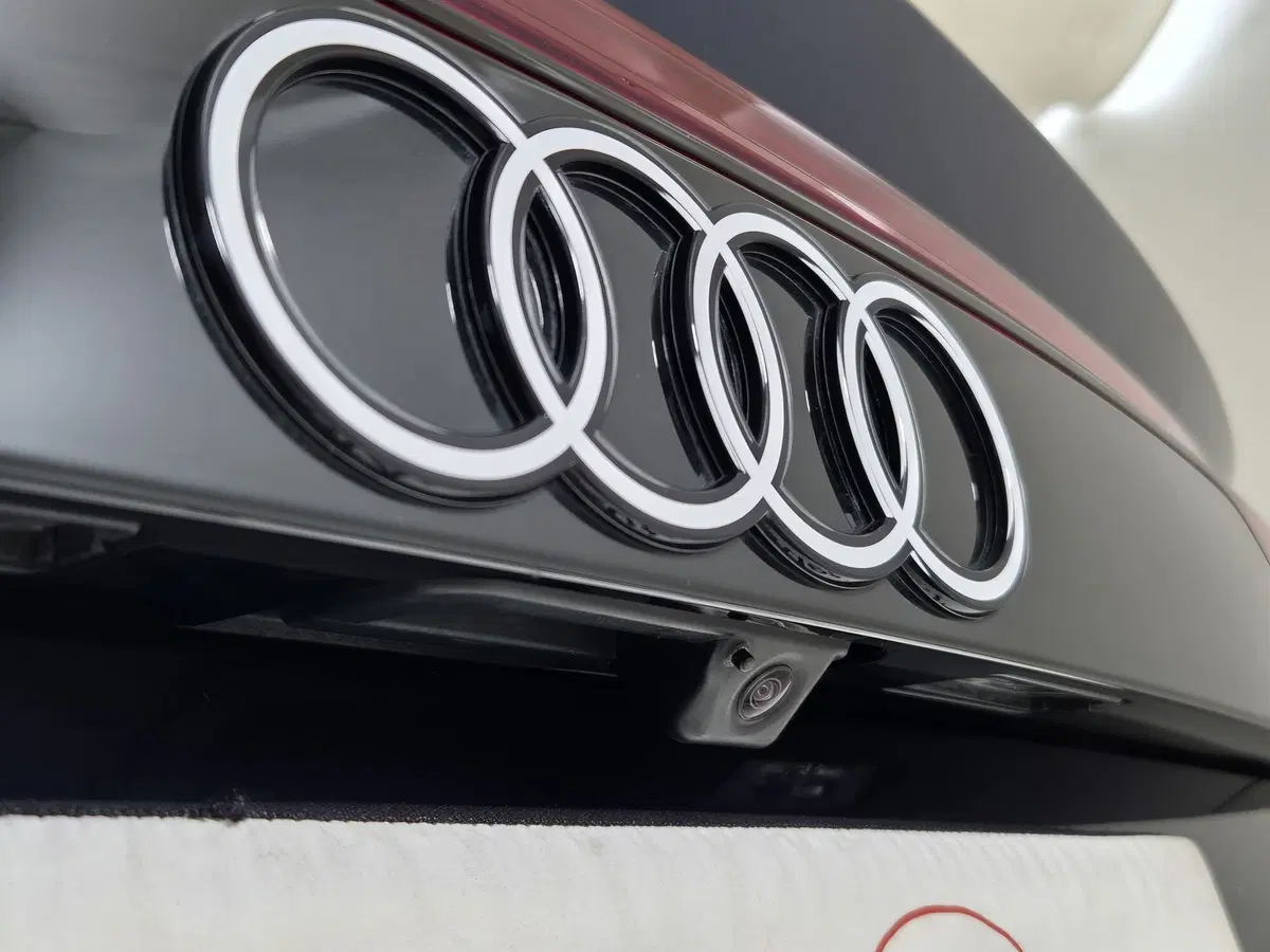 Audi Q8 usata a Torino (17)