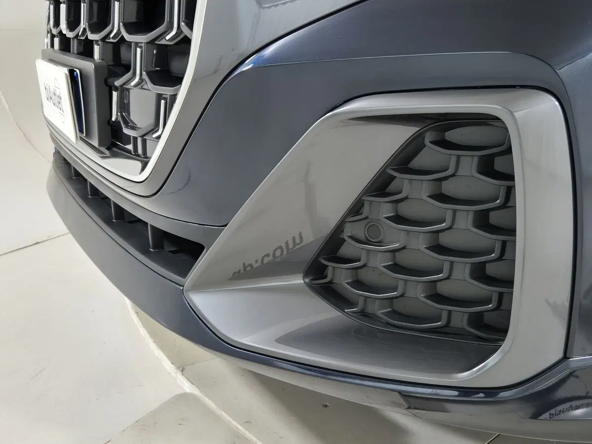 Audi Q8 usata a Torino (20)