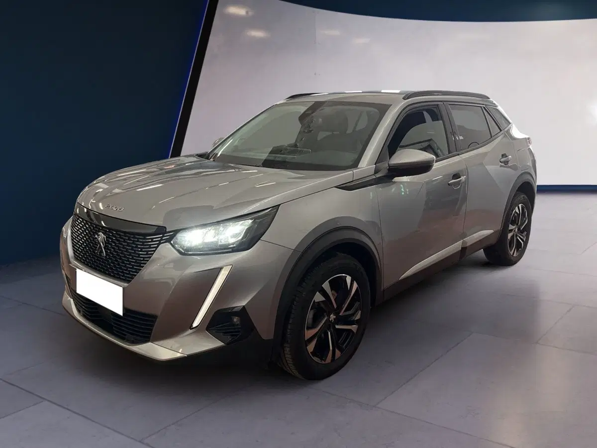 Peugeot 2008 usata a Torino (2)