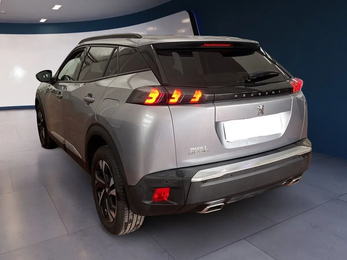 Peugeot 2008 usata a Torino (6)