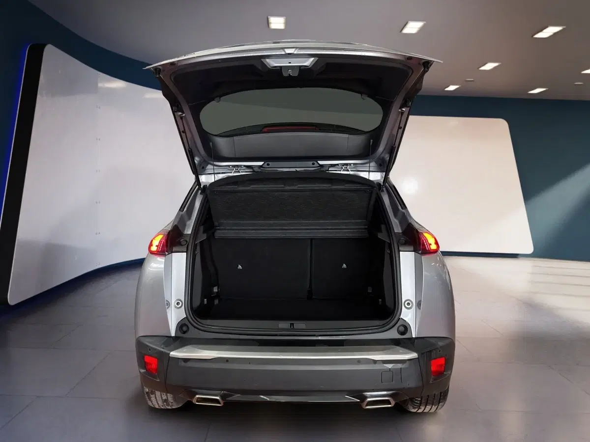 Peugeot 2008 usata a Torino (7)