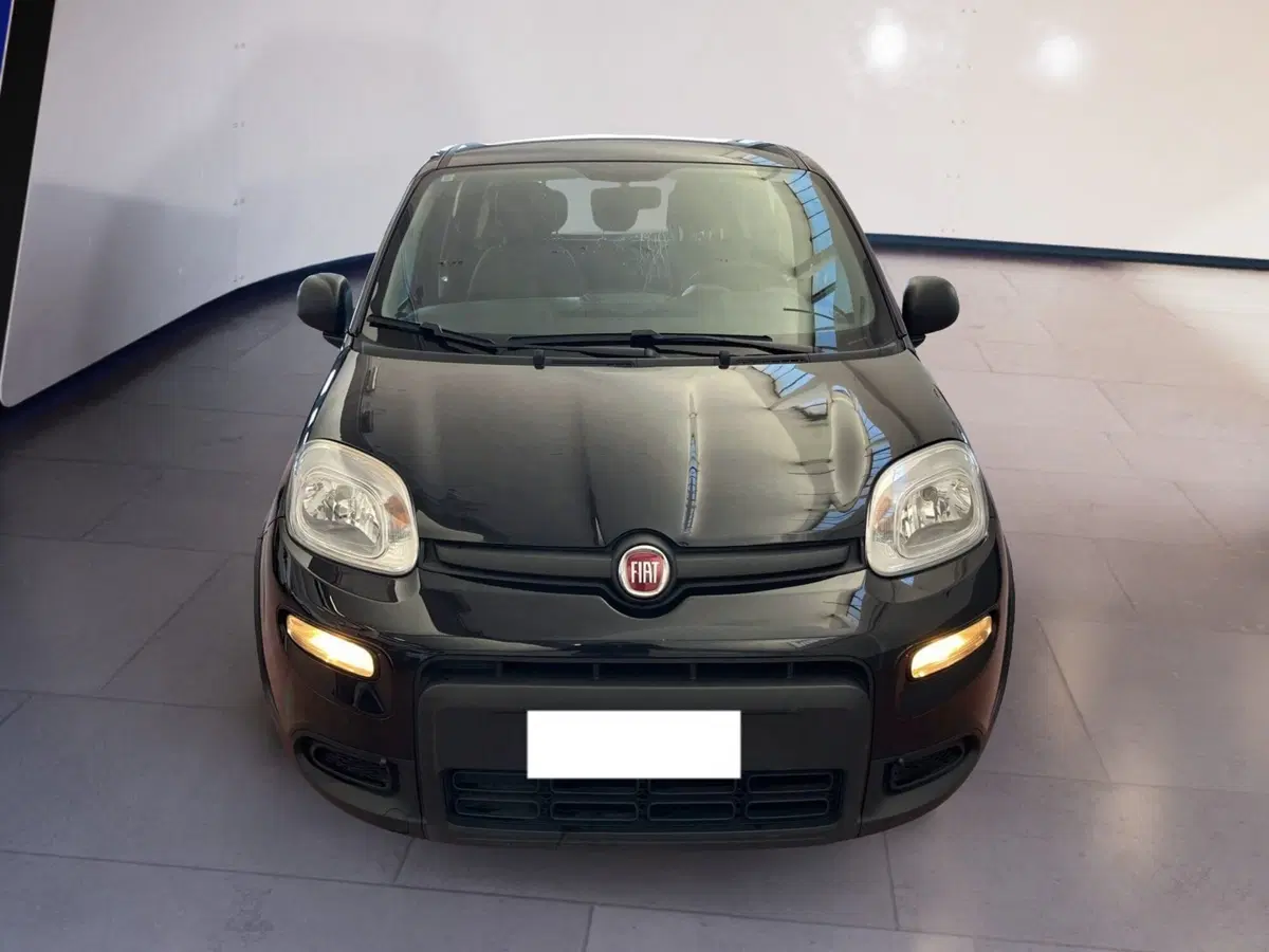 Fiat Panda usata a Torino