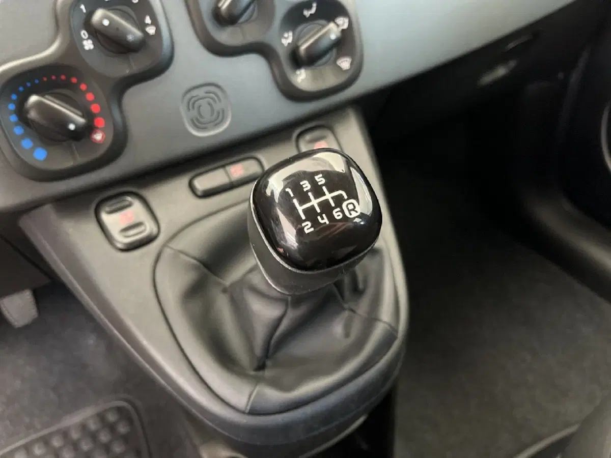 Fiat Panda usata a Torino (13)