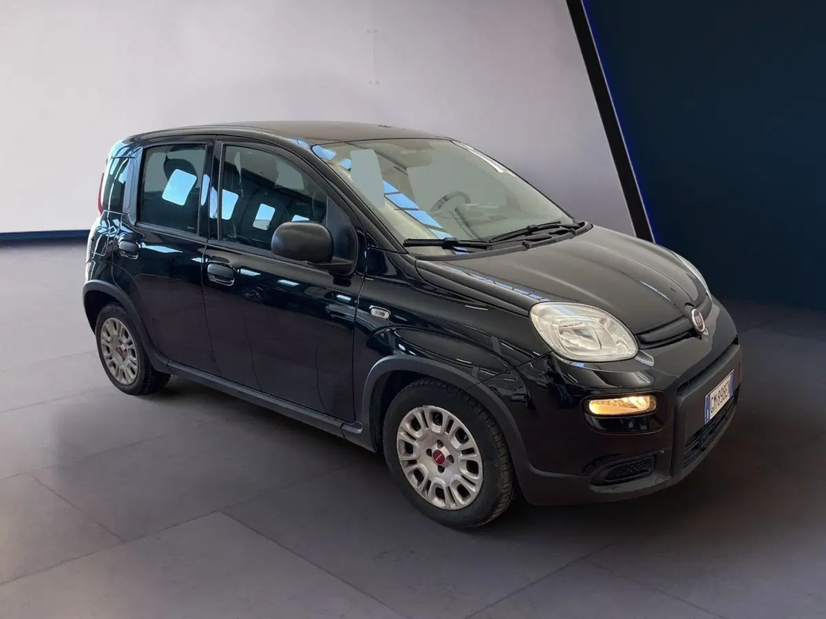 Fiat Panda usata a Torino (2)