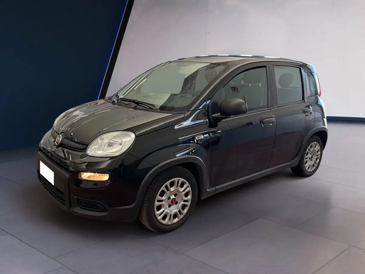 Fiat Panda usata a Torino (3)