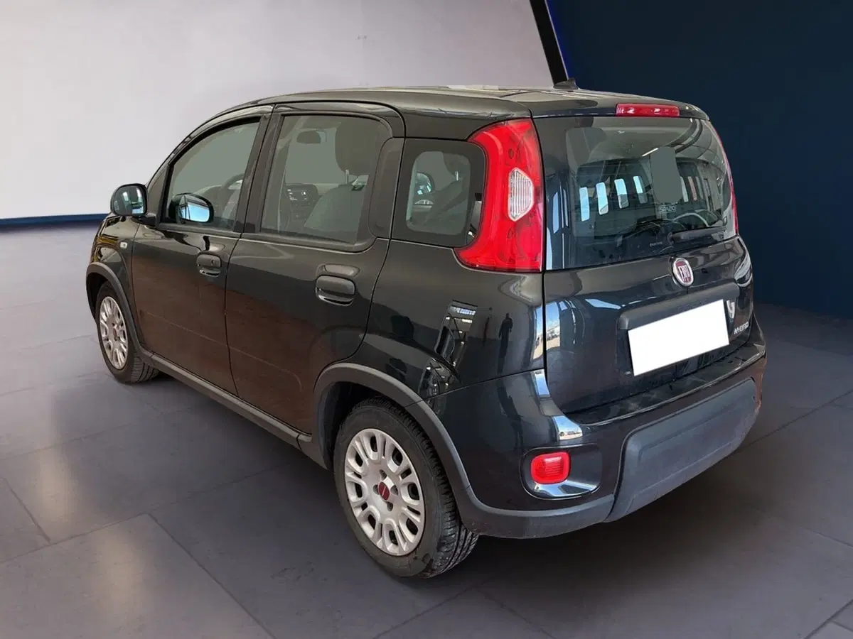 Fiat Panda usata a Torino (4)