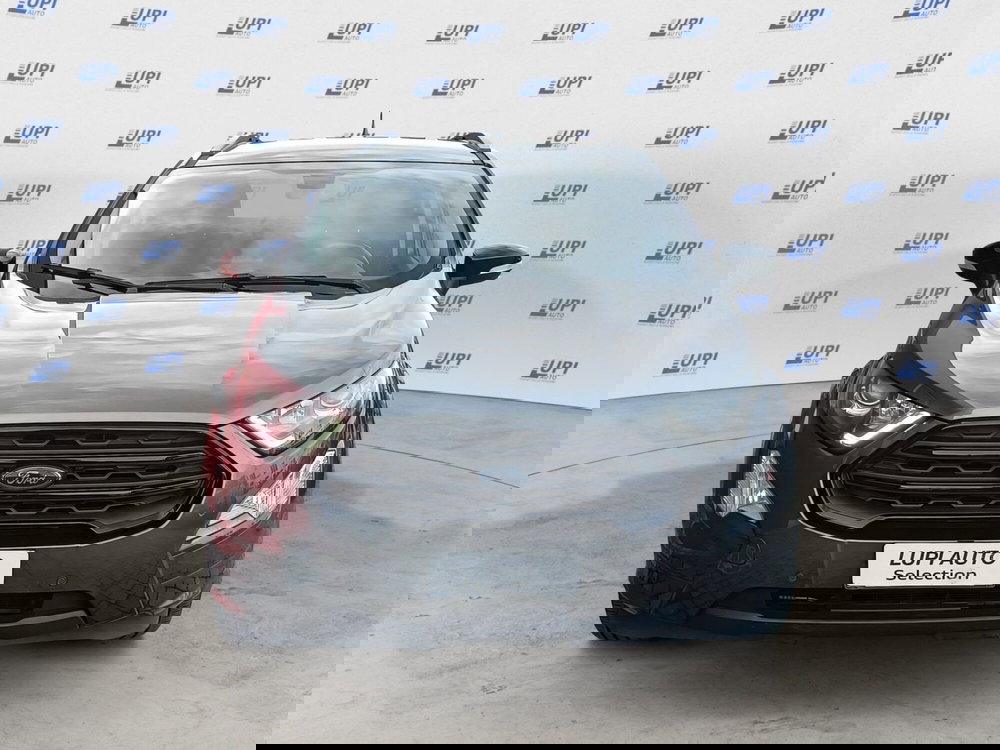 Ford EcoSport usata a Prato (5)