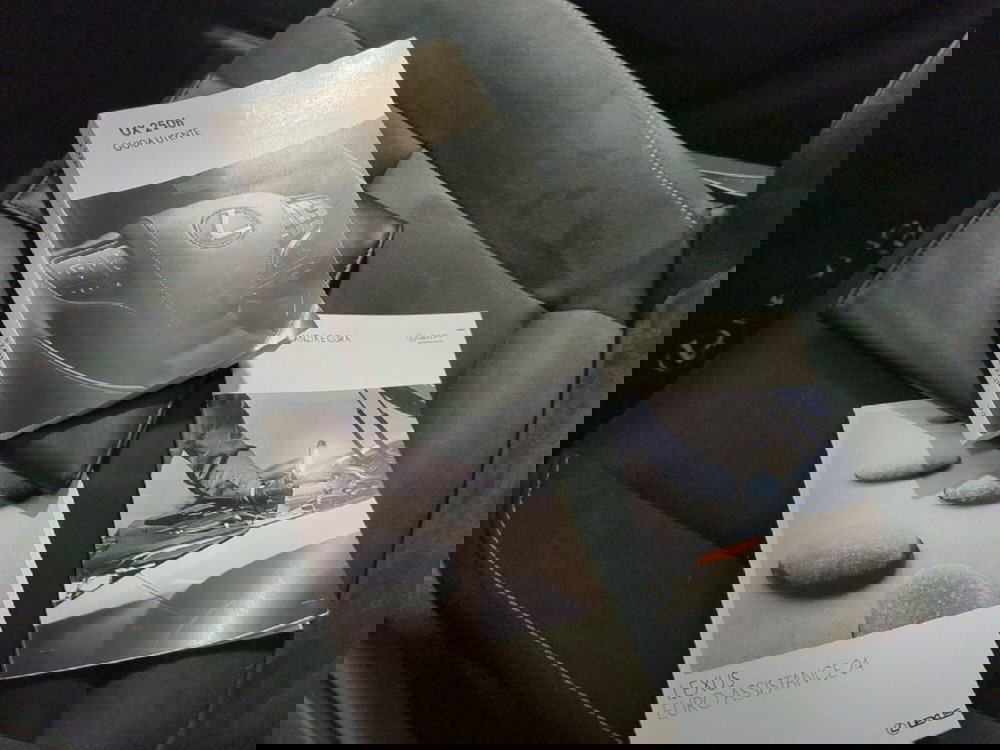 Lexus UX usata a Milano (19)