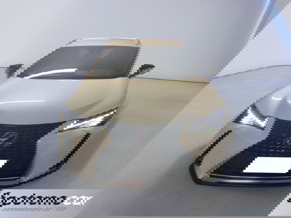 Lexus UX usata a Milano (6)