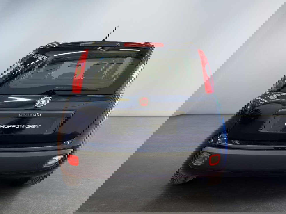 Fiat Panda usata a Bologna (3)