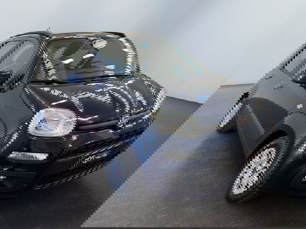 Fiat Panda usata a Bologna (5)