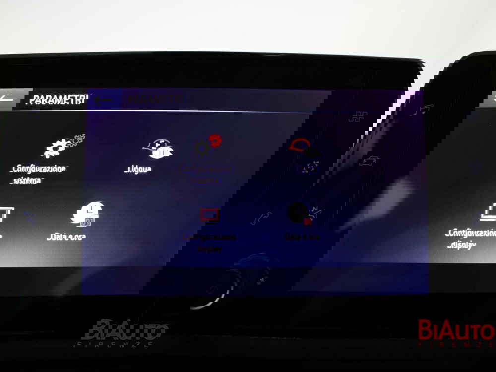 Opel Combo Life usata a Firenze (13)