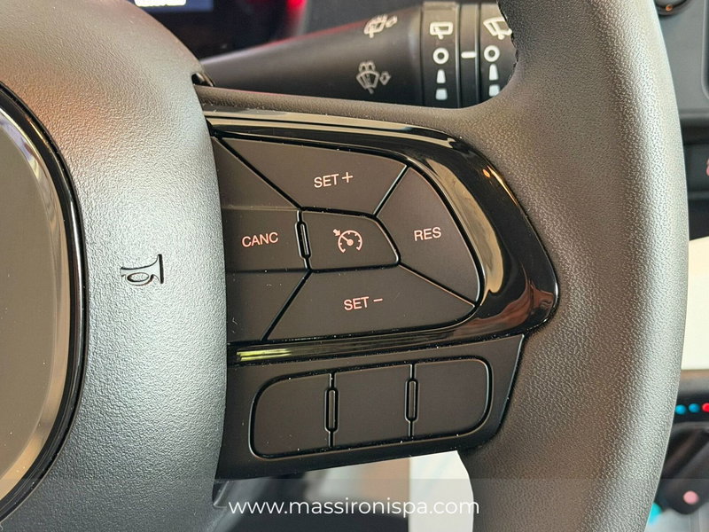 Fiat Panda Cross usata a Milano (7)