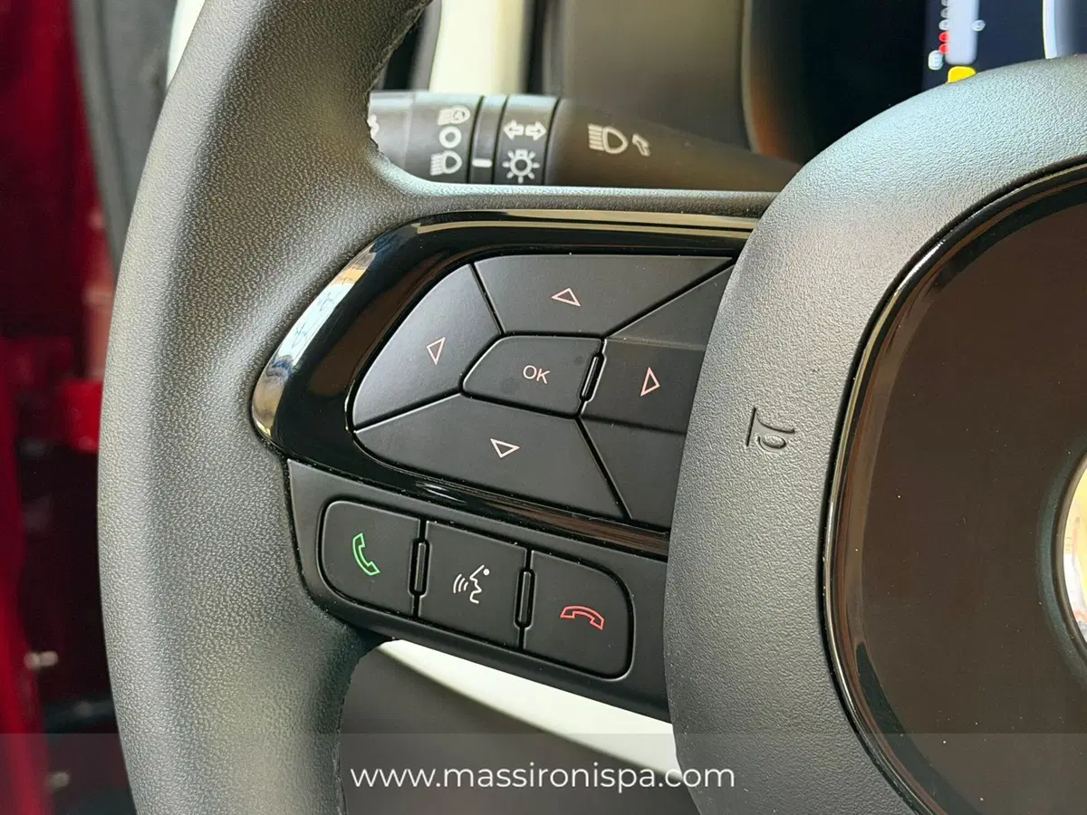 Fiat Panda Cross usata a Milano (8)