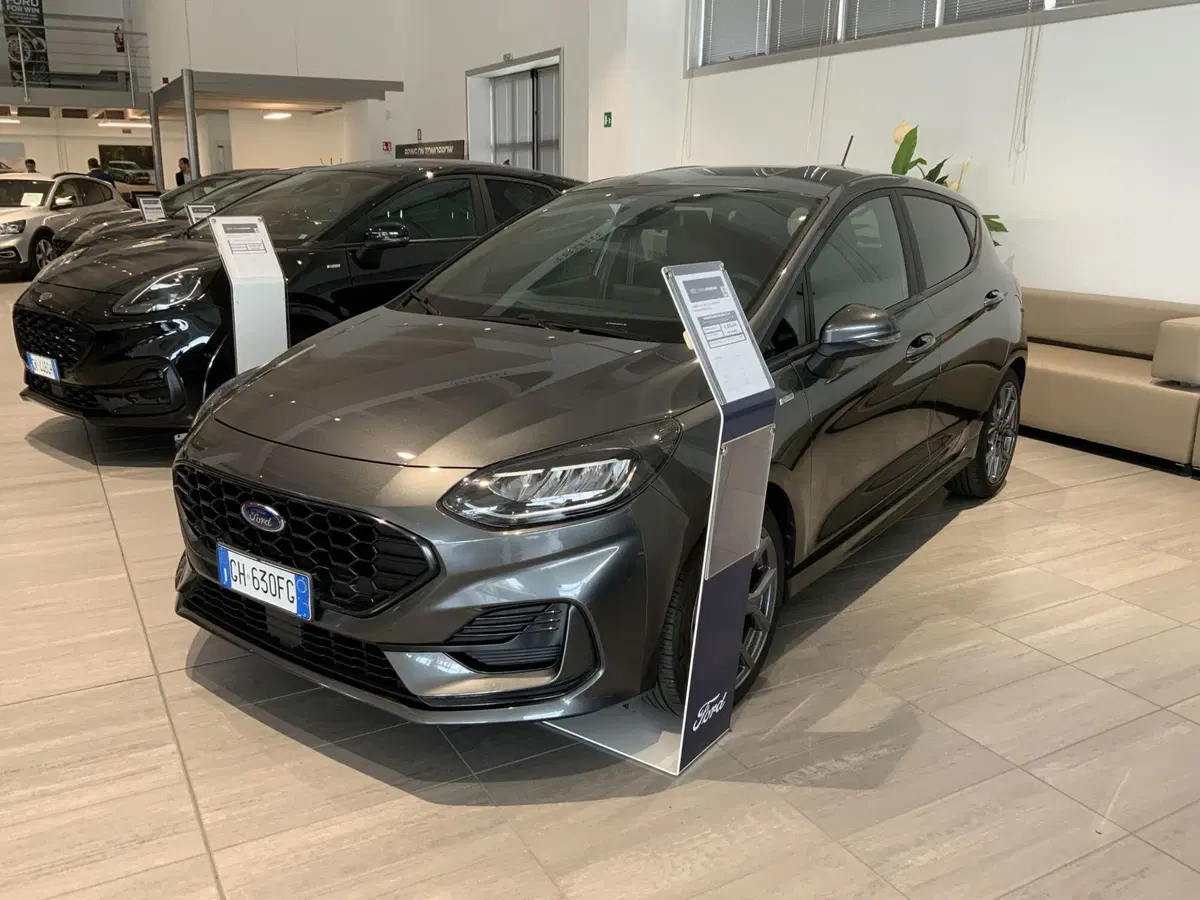 Ford Fiesta usata a Vercelli