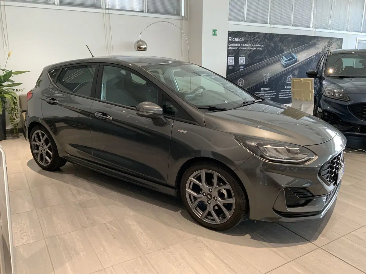 Ford Fiesta usata a Vercelli (2)