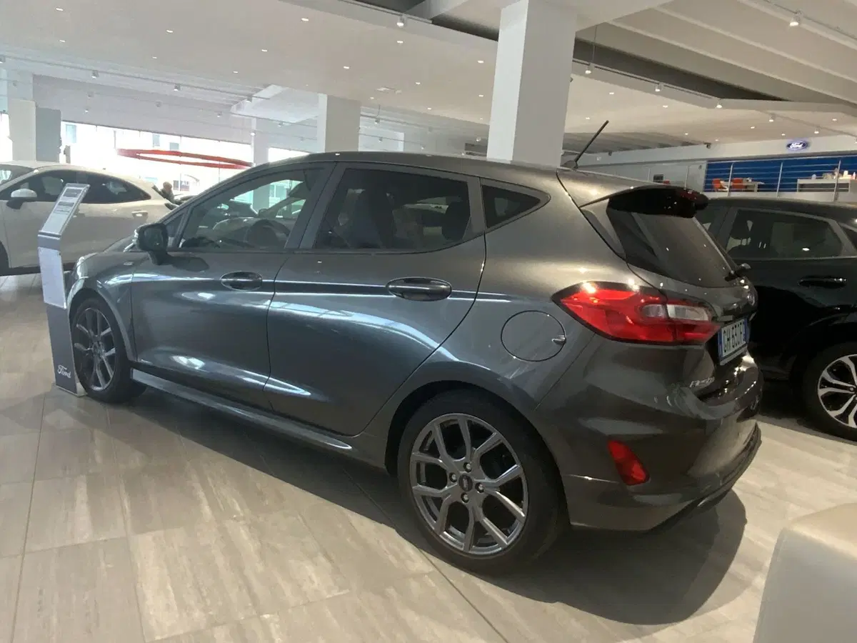 Ford Fiesta usata a Vercelli (4)