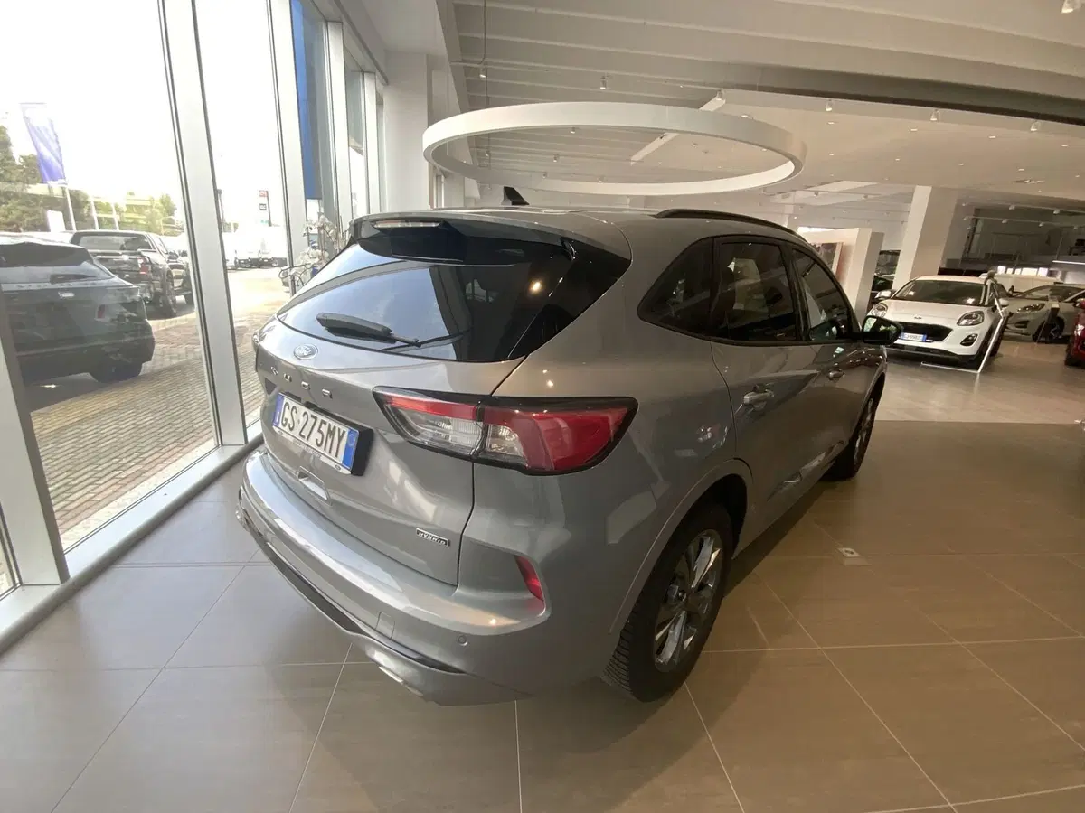 Ford Kuga usata a Vercelli (3)