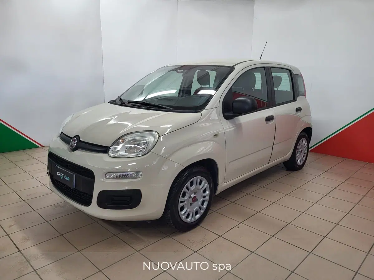 Fiat Panda usata a Arezzo