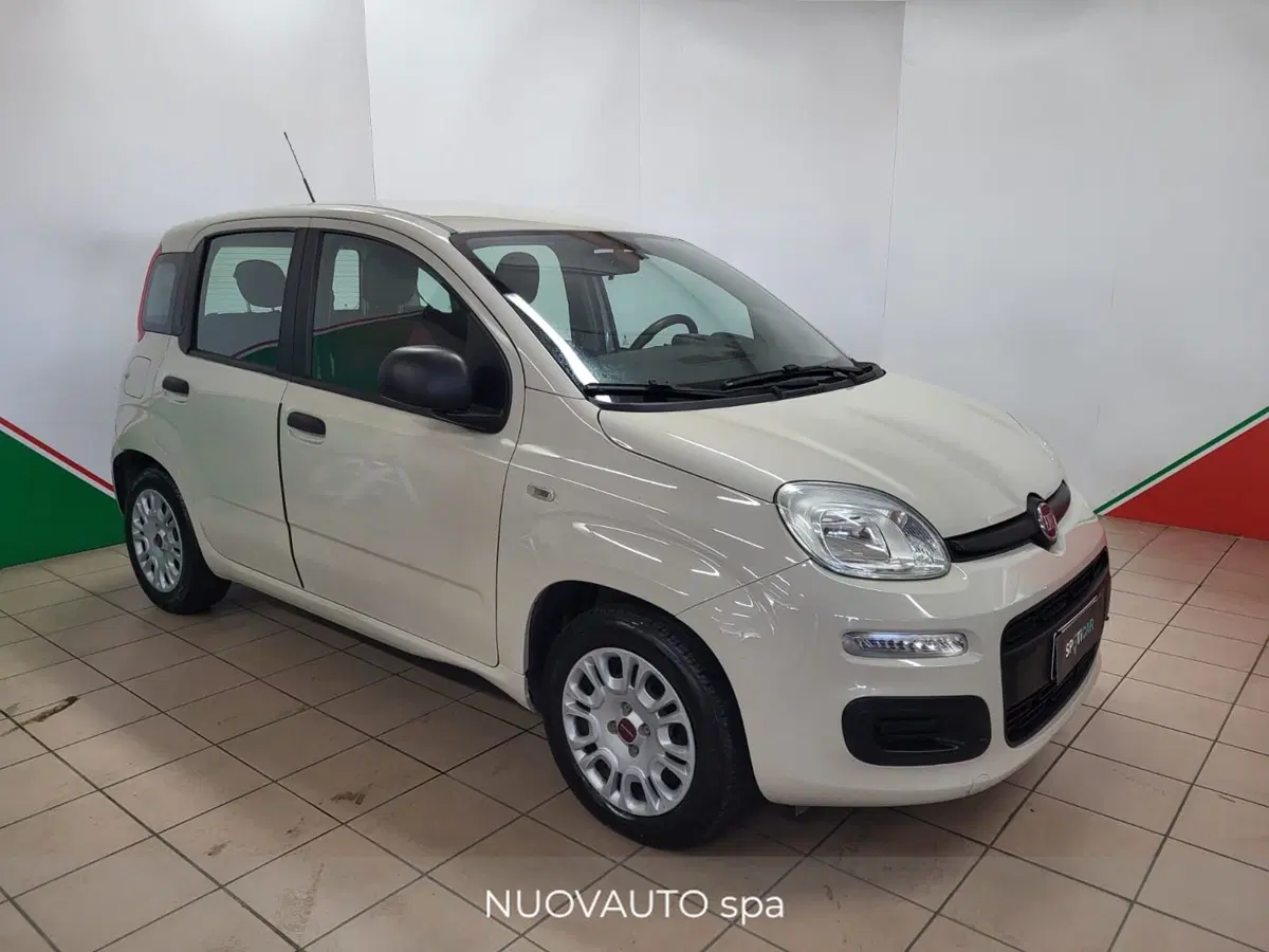 Fiat Panda usata a Arezzo (2)
