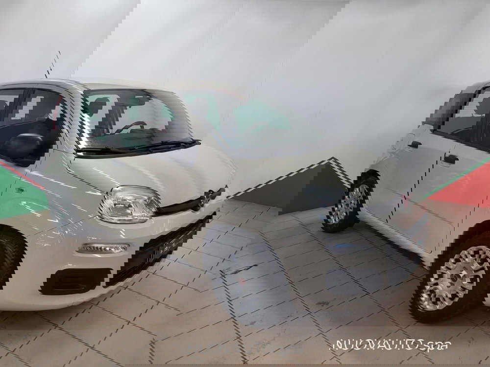 Fiat Panda usata a Arezzo (2)