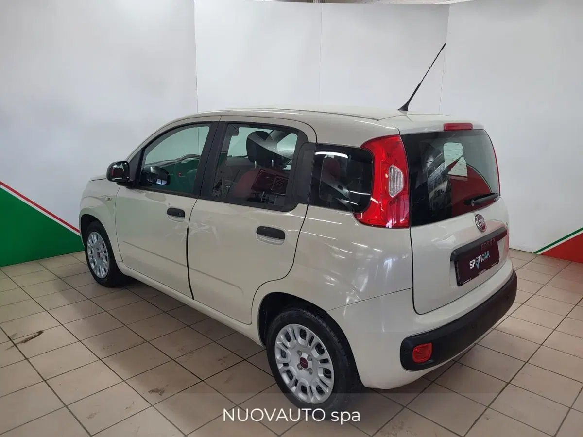 Fiat Panda usata a Arezzo (4)