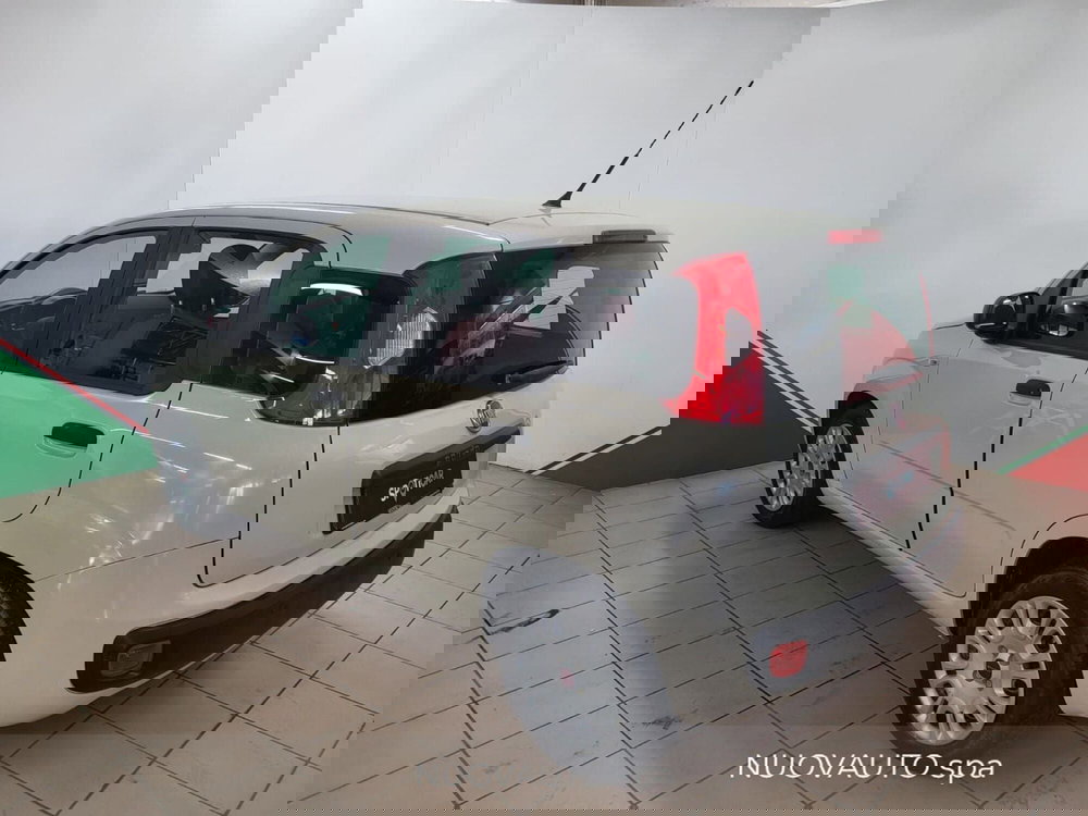 Fiat Panda usata a Arezzo (4)