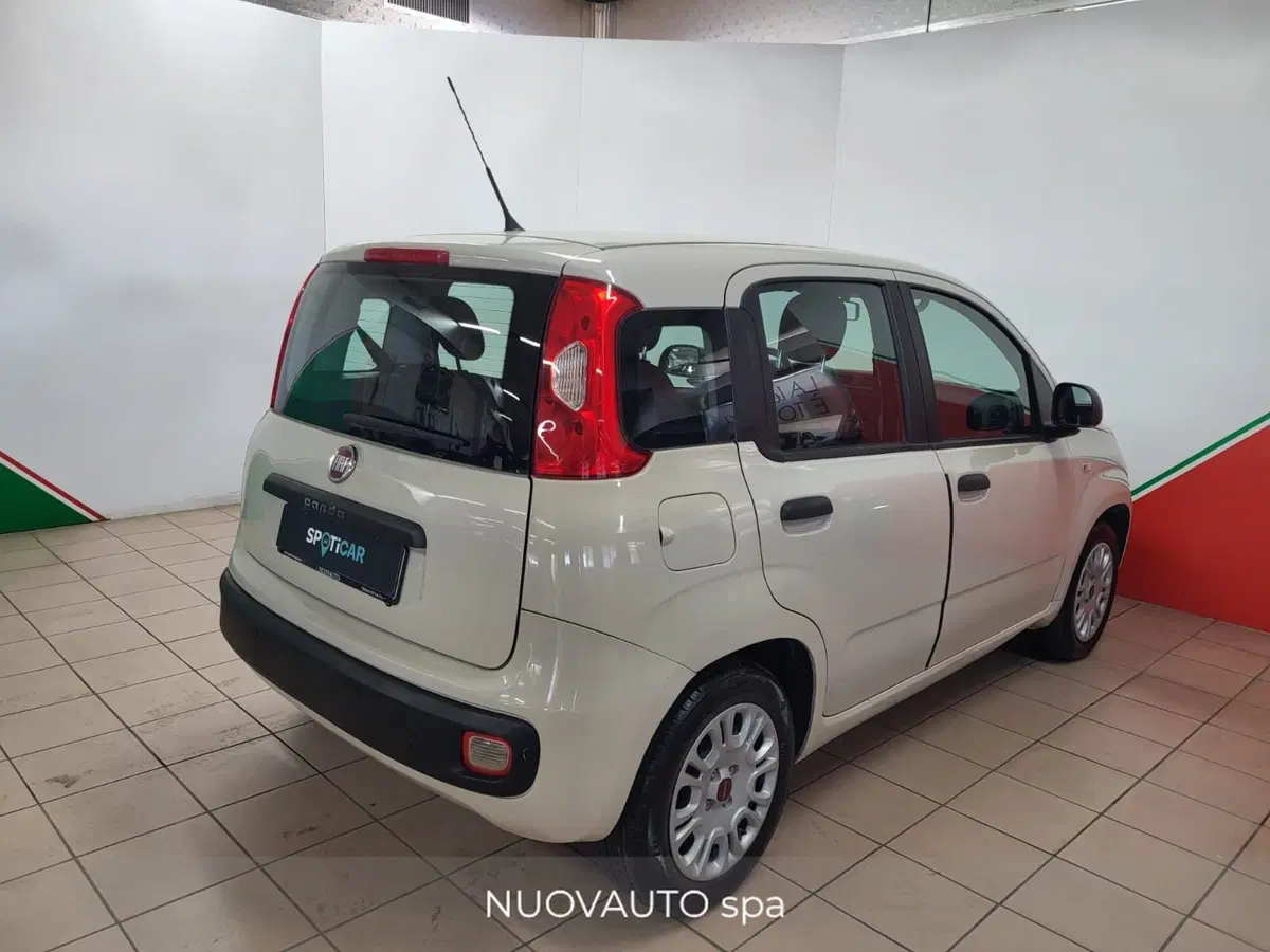 Fiat Panda usata a Arezzo (5)
