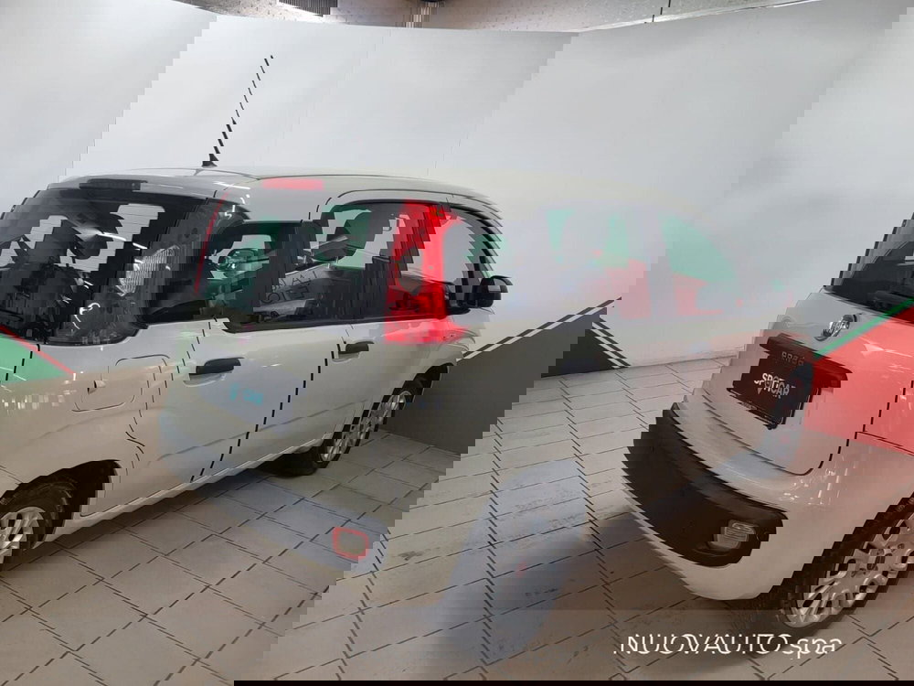 Fiat Panda usata a Arezzo (5)