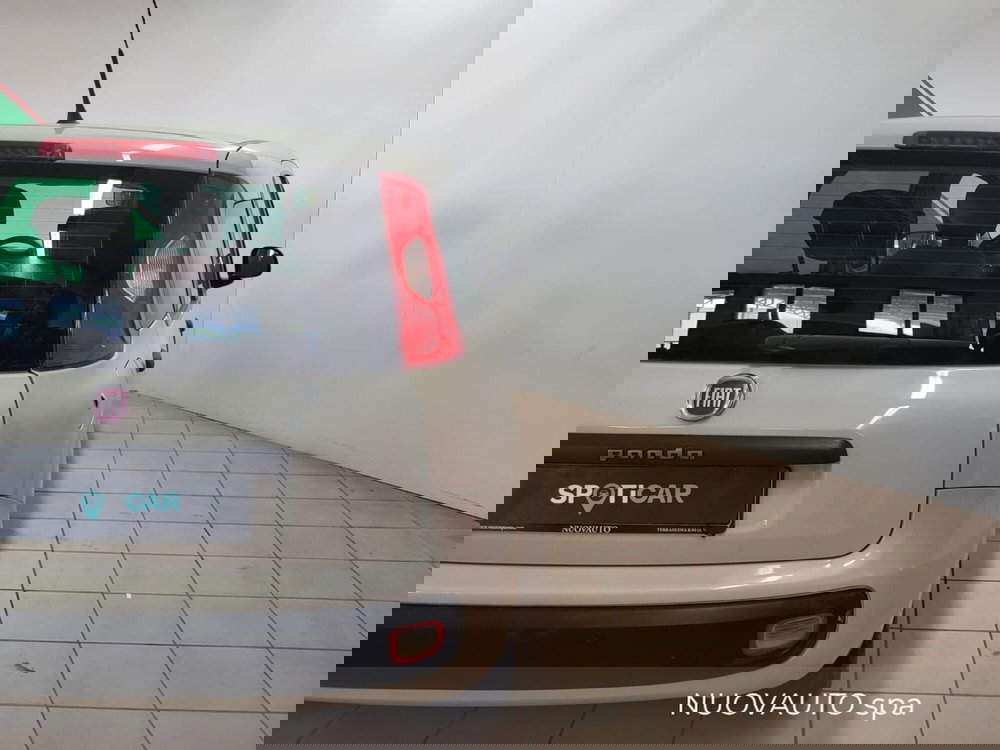 Fiat Panda usata a Arezzo (7)