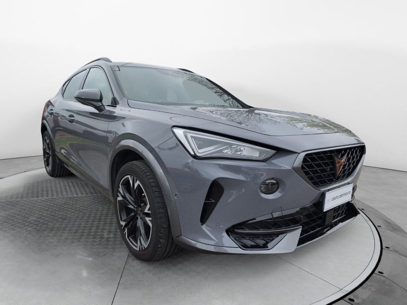 Cupra Formentor usata a Frosinone (6)