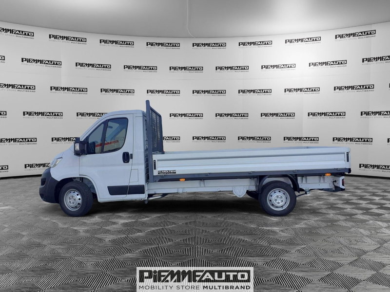 Opel Movano Telaio nuova a Piacenza (4)