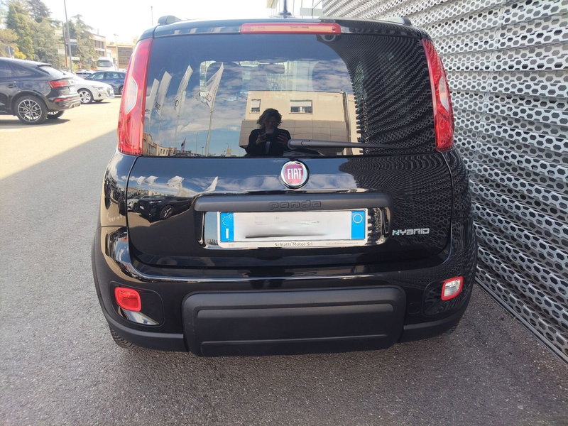 Fiat Panda Cross usata a Modena (5)