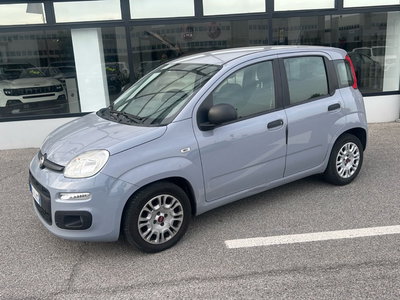 Fiat Panda 1.0 FireFly S&amp;S Hybrid Easy del 2020 usata a Verdello