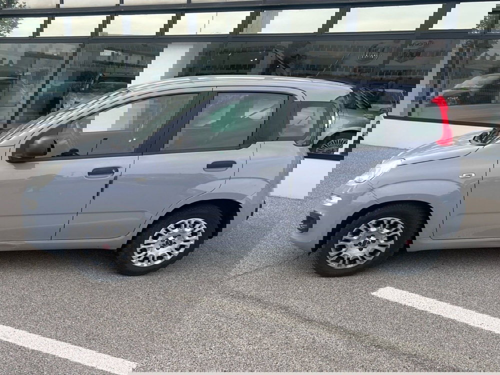 Fiat Panda usata a Bergamo (2)