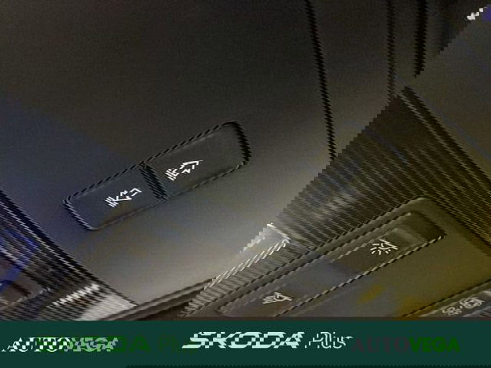 Skoda Kamiq usata a Vicenza (16)