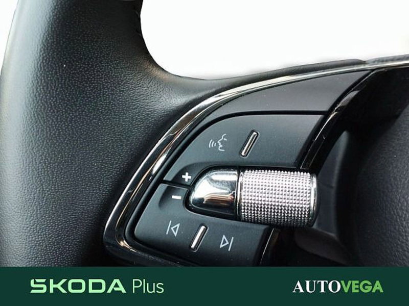 Skoda Fabia usata a Vicenza (16)