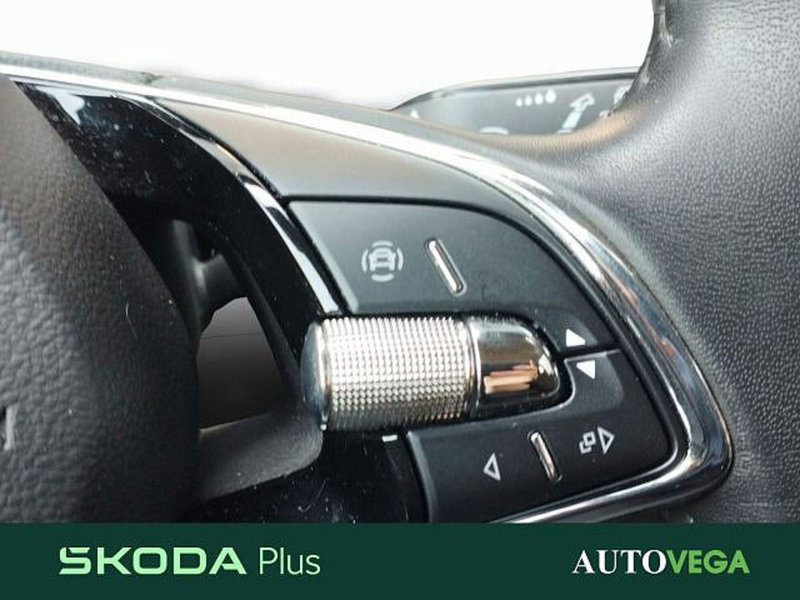 Skoda Fabia usata a Vicenza (17)