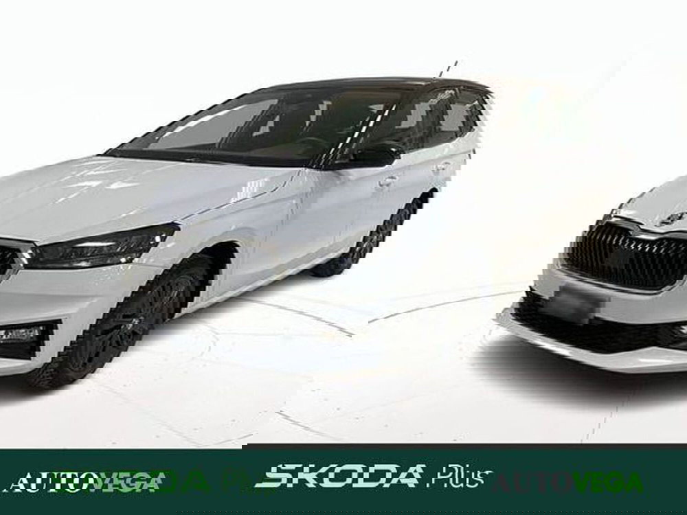 Skoda Fabia usata a Vicenza