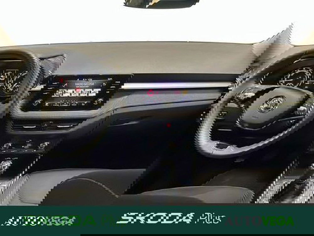 Skoda Fabia usata a Vicenza (8)