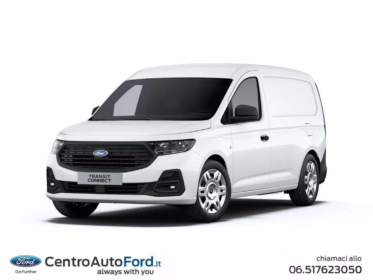 Ford Transit Connect  nuova a Roma (3)