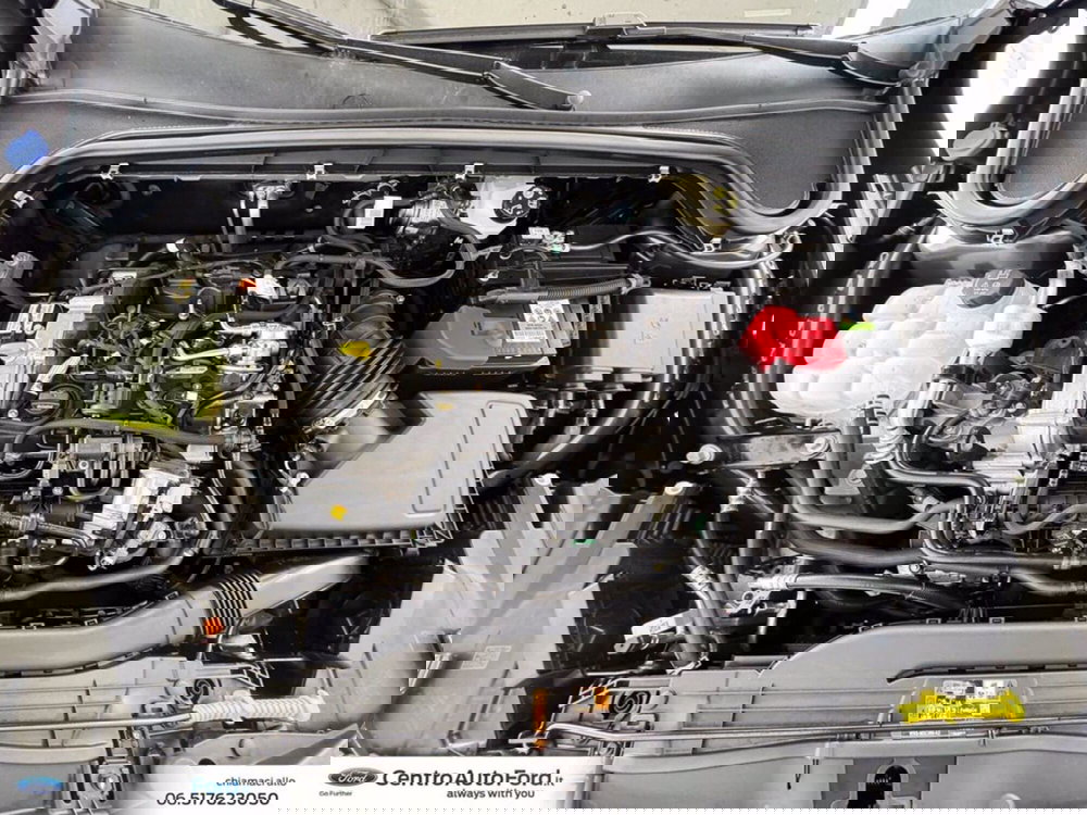 Ford Focus usata a Roma (11)