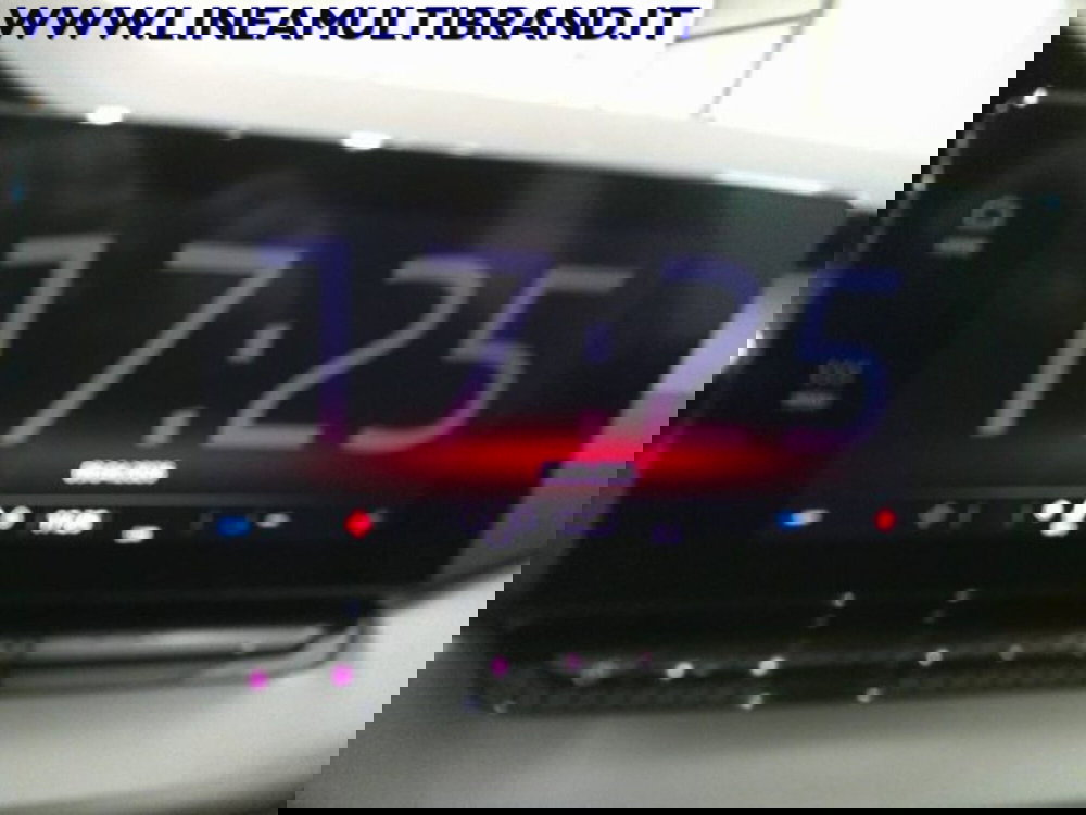 Skoda Octavia Station Wagon usata a Piacenza (13)