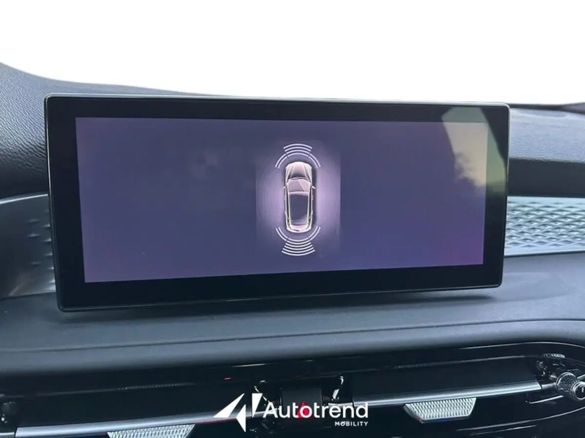 Alfa Romeo Tonale usata a Lecce (16)