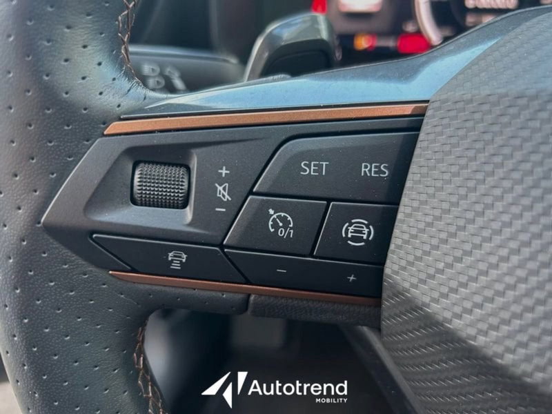 Cupra Formentor usata a Lecce (8)