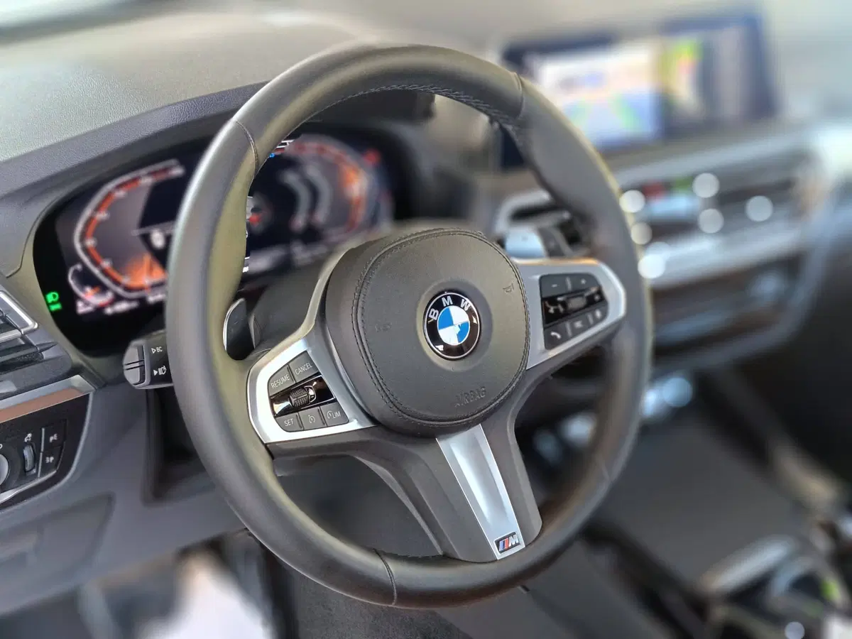 BMW X3 usata a Ascoli Piceno (18)