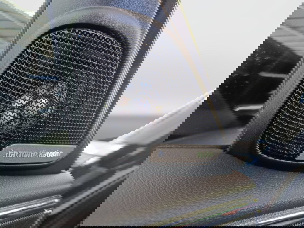 MINI Mini Countryman usata a Ascoli Piceno (19)