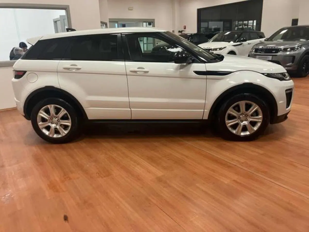 Land Rover Range Rover Evoque usata a Lucca (4)
