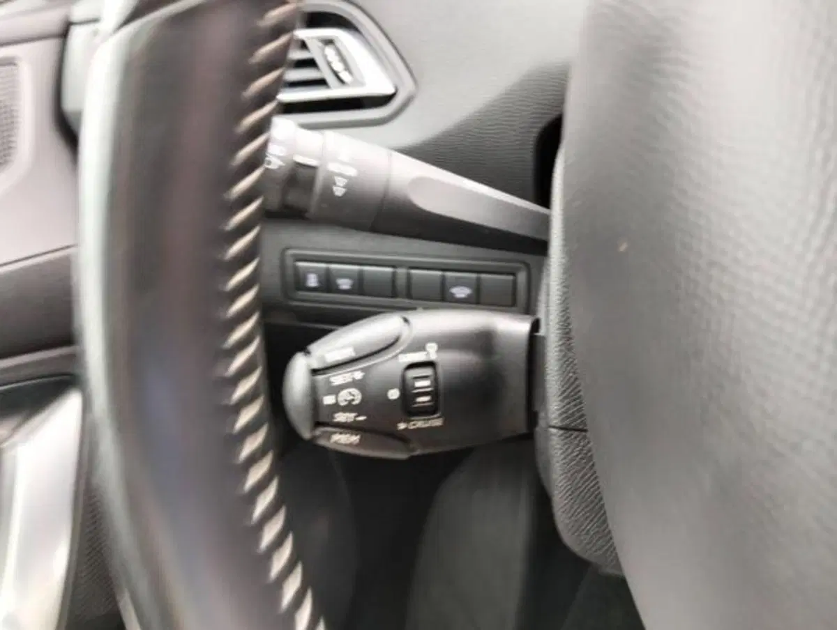 Peugeot 308 SW usata a Como (12)